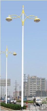 市电路灯DLD-06915