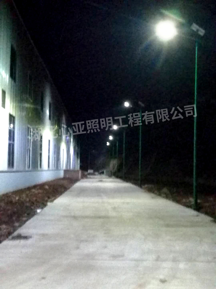 重庆忠县全伦生态公司太阳能路灯照明项目