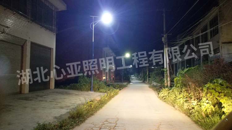 重庆开州区乐园村太阳能路照明项目