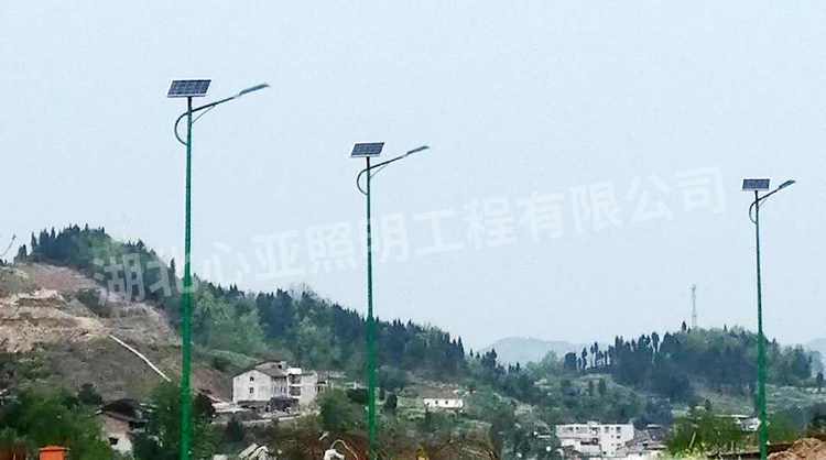 重庆忠县全伦生态公司太阳能路灯照明项目