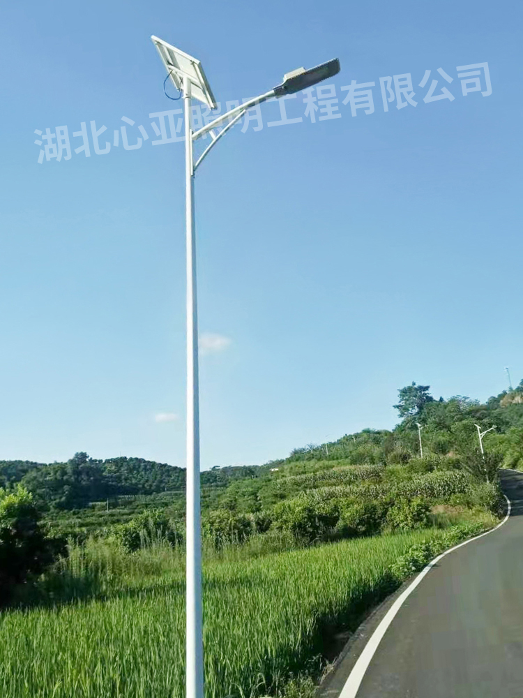 重庆垫江县杠家镇太阳能路灯照明项目