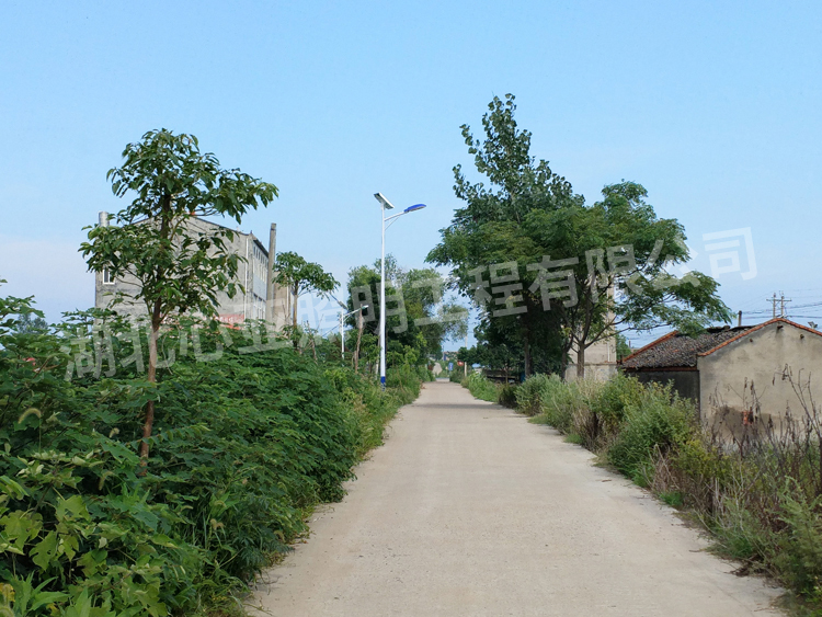 太阳能路灯安装完成效果