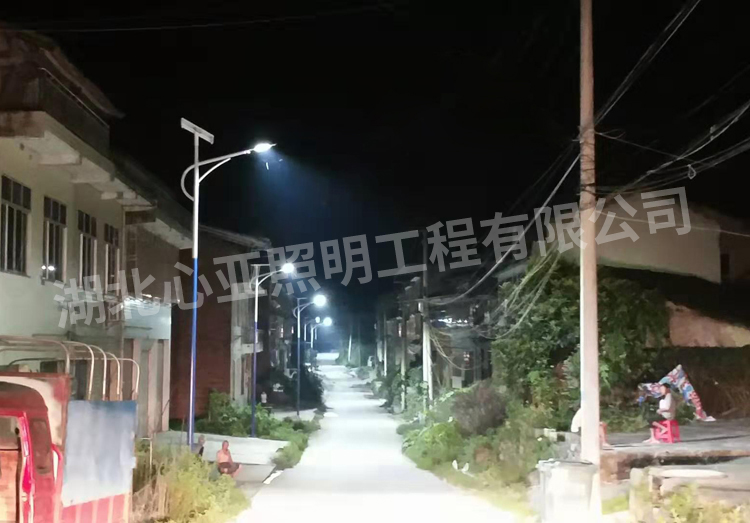 重庆开州区乐园村太阳能路照明项目