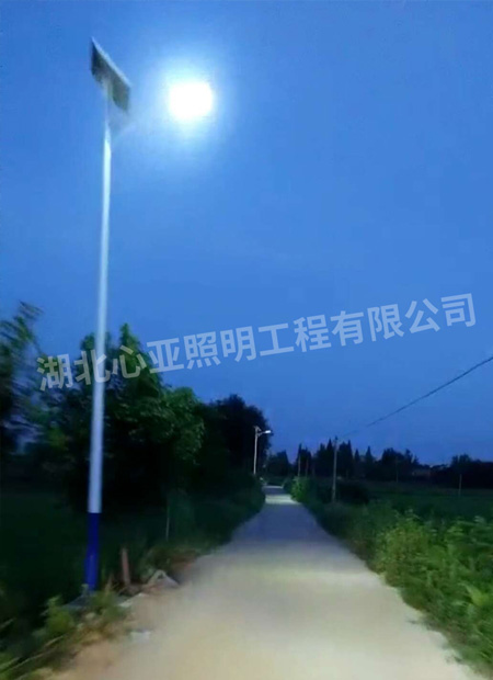 太阳能路灯安装完成效果